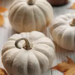 Herbstdeko 2024